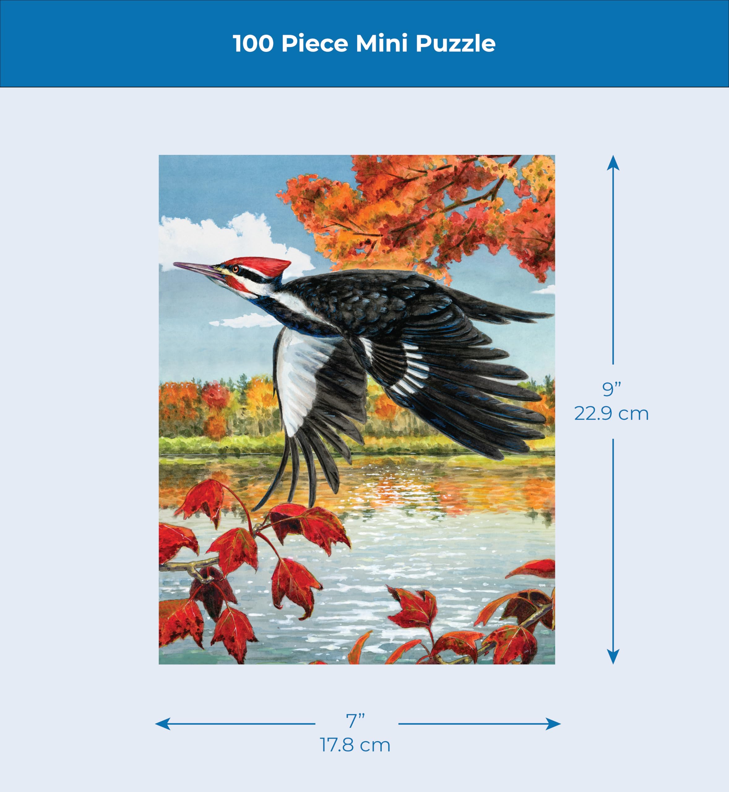 Amazon.com: New York Puzzle Company: Cornell Lab of Ornithology